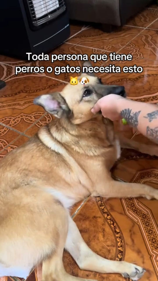 🐾 Cepillo Vapor Promax Mascotas